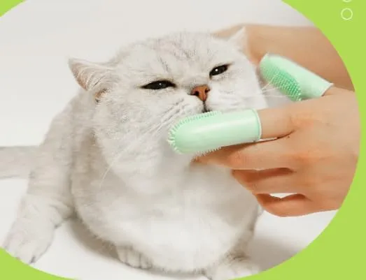 ASEANAO Dog Toothbrush, Finger Toothbrush, Cat Tooth Brush, Teeth Cleaning (Green)