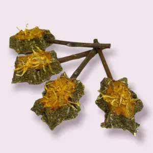 Bun Buns Toy Box Bunny Pop Apple Marigold Treats for Rabbits and Guinea Pigs 3 Pack^^^