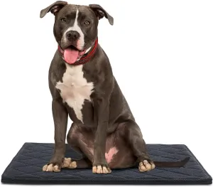 Chew Proof Dog Crate Dog Bed Pad Mat for Tough Dog, Indestructibl and Water Resistant Dog Mat for Aggressive Chewer, Durable Bed Mat Design for Dog Cage