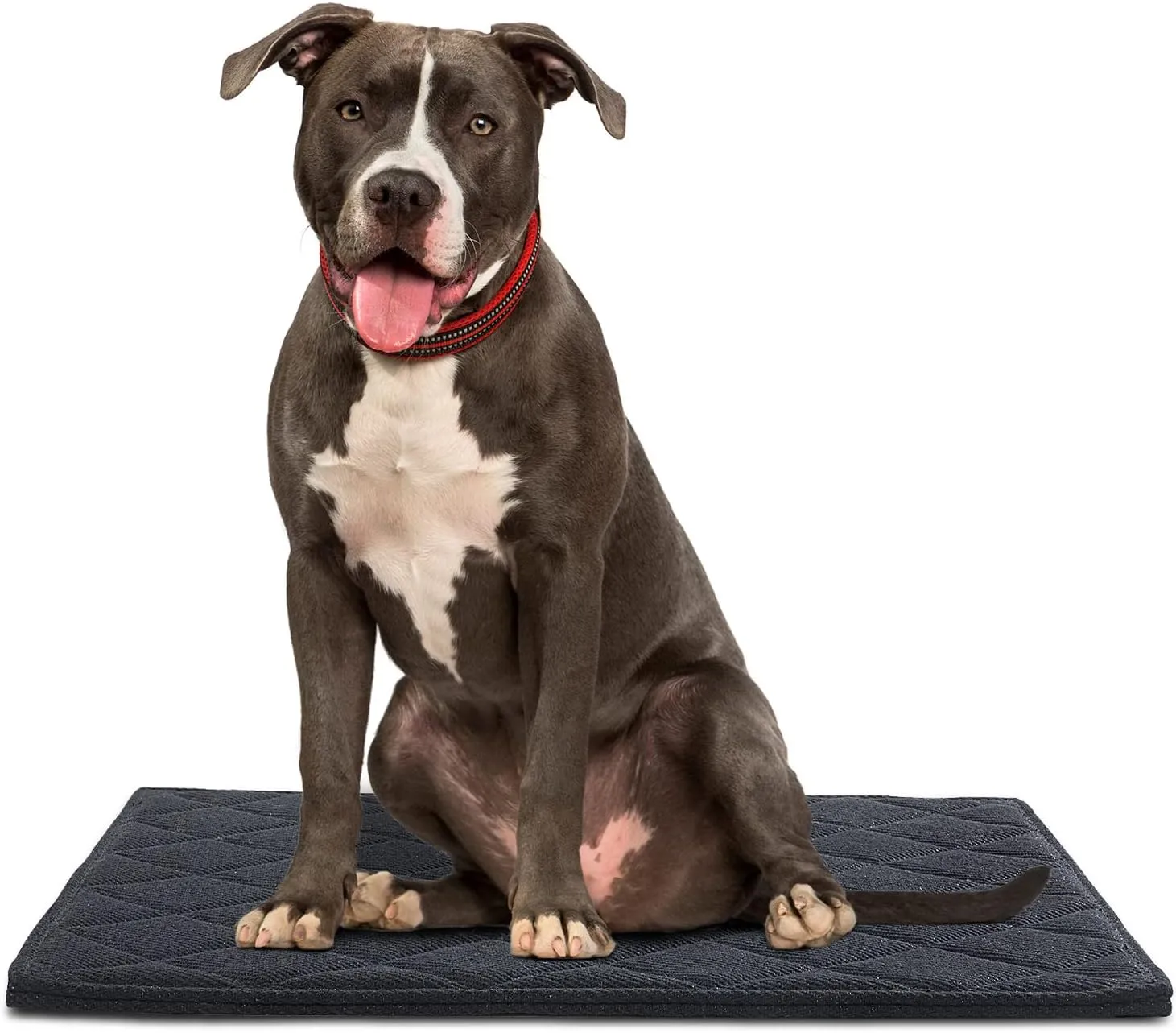 Chew Proof Dog Crate Dog Bed Pad Mat for Tough Dog, Indestructibl and Water Resistant Dog Mat for Aggressive Chewer, Durable Bed Mat Design for Dog Cage