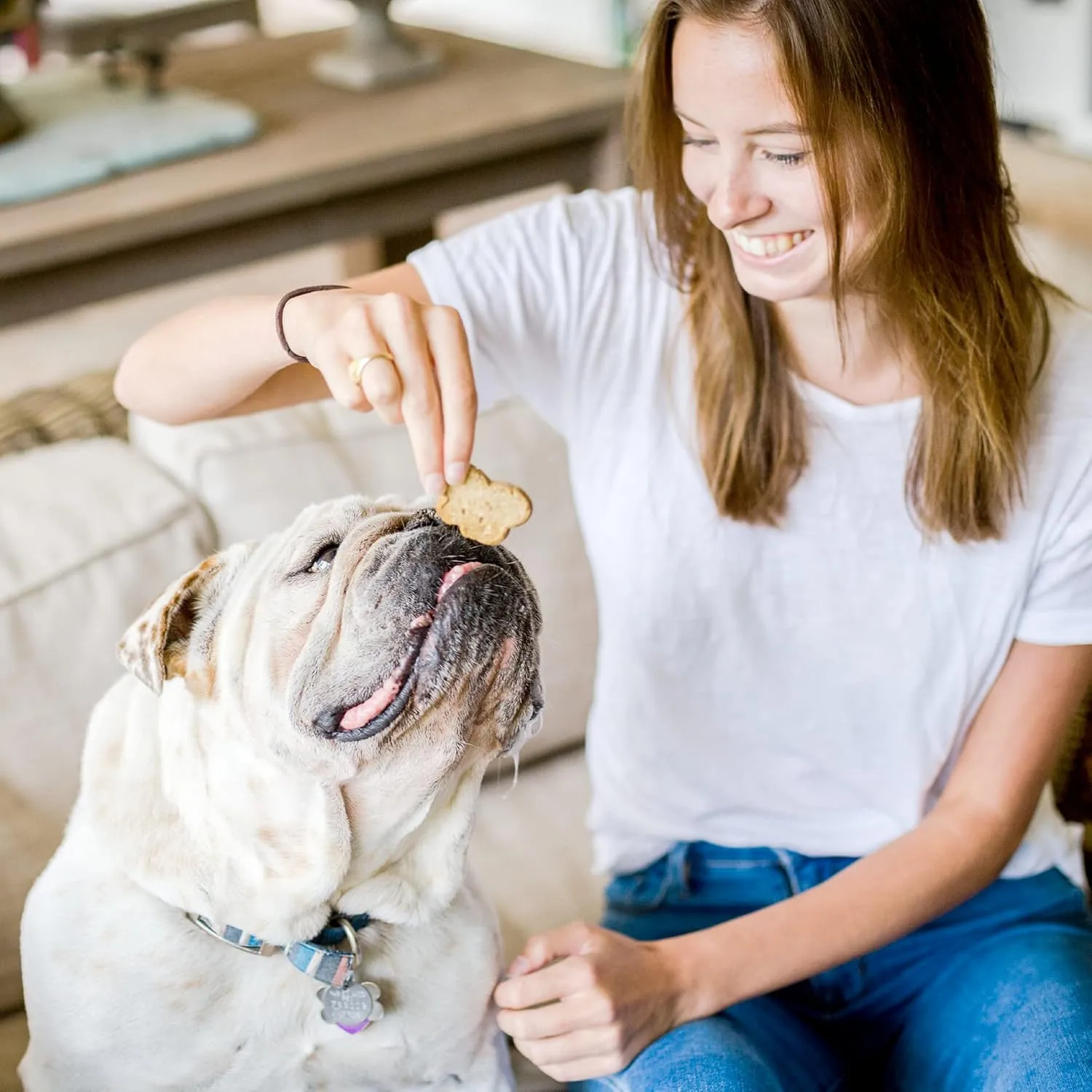 Cloud Star Wag More Bark Less Crunchy Grain Free Dog Treats, Peanut Butter & Apples, 14 oz. Box