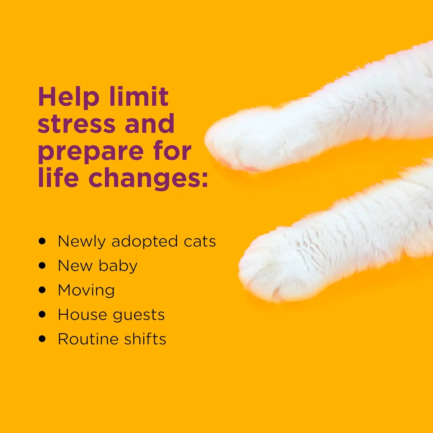 Comfort Zone Savings Kit: 2 Cat Calming Diffusers & 2 Refills; Cat Pheromones Help Anxiety; Reduce Stress, Urine Marking, Scratching