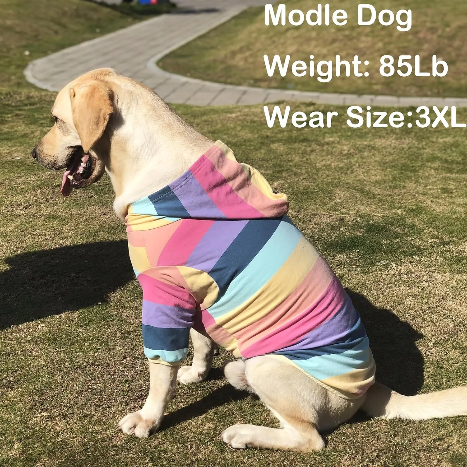Dog Cotton Hoodie Pullover Sweatshirts Soft and Stretch Pets Clothes Rainbow Stripe Hooded for Large DogsStripe XL
