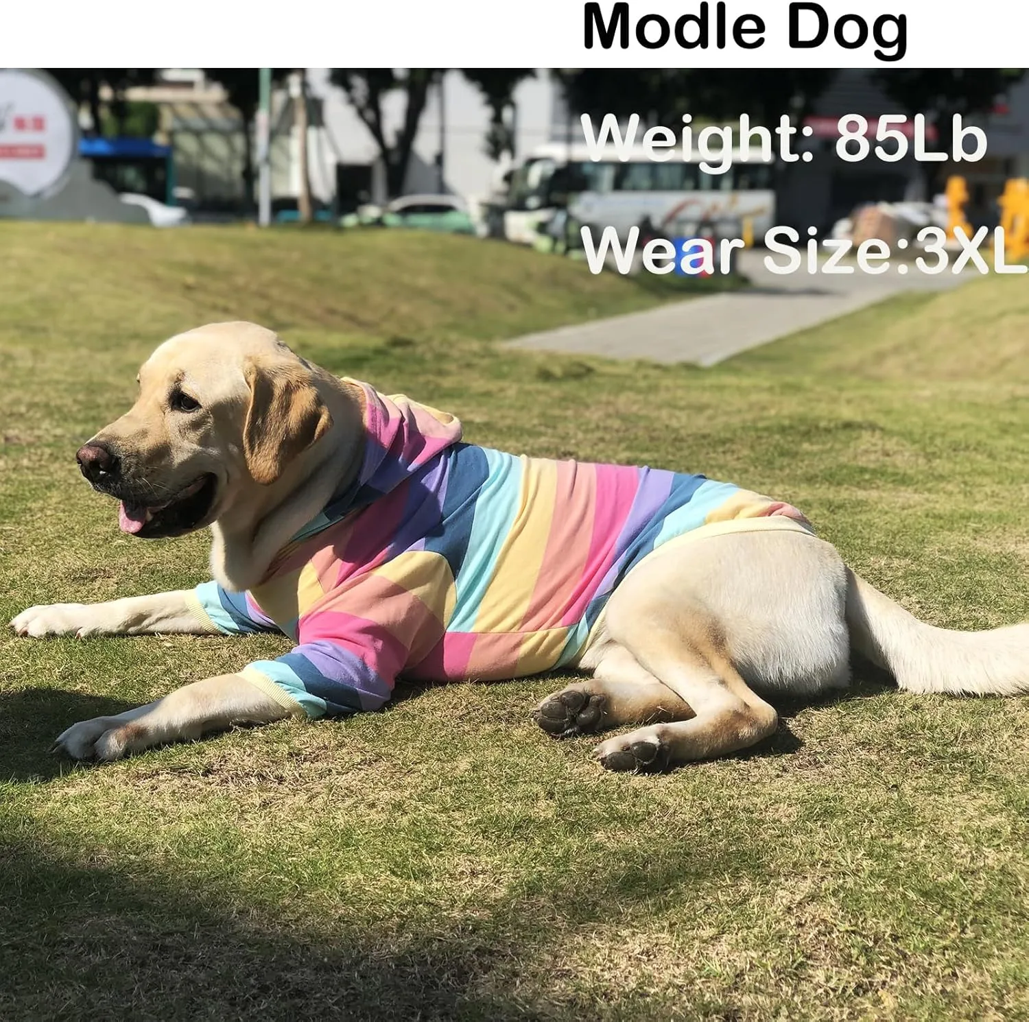 Dog Cotton Hoodie Pullover Sweatshirts Soft and Stretch Pets Clothes Rainbow Stripe Hooded for Large DogsStripe XL