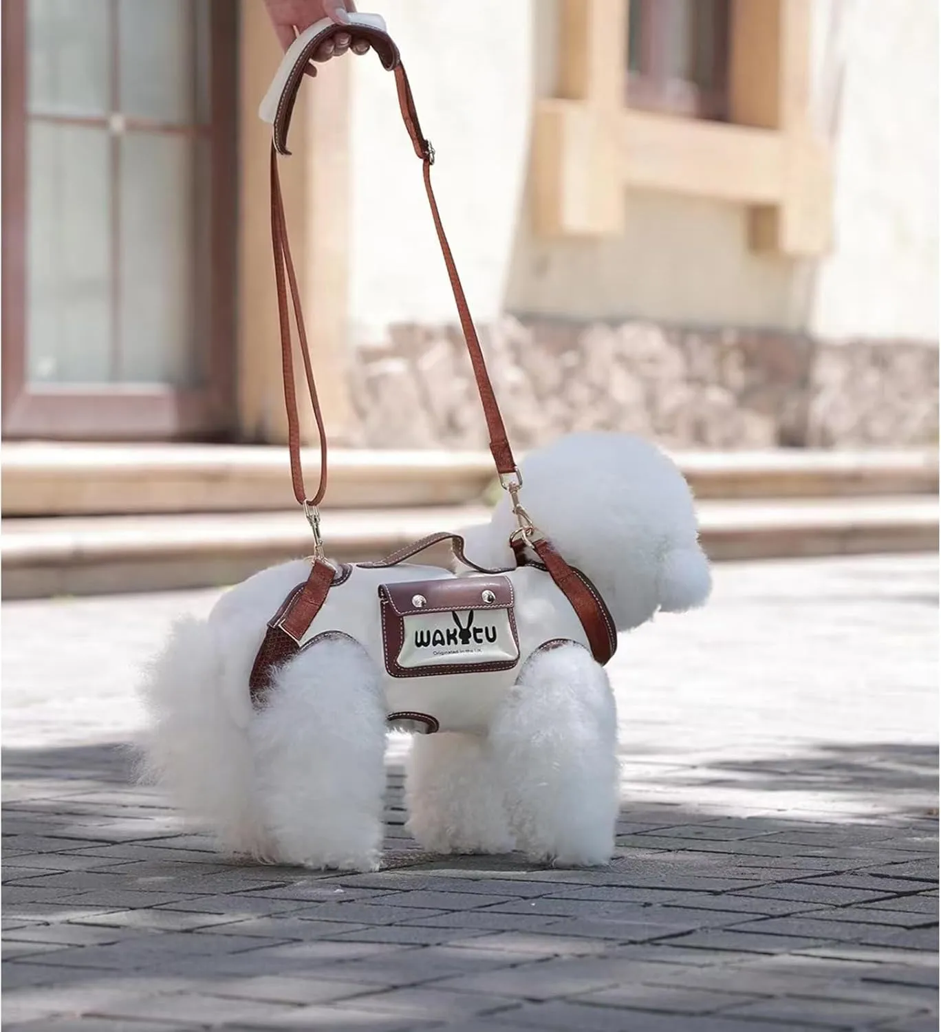 Dog Lift Harness Dog Carrier VES Harness Adjustable Leash with Small Puppy Treat Bag,Fits Most Cars,L
