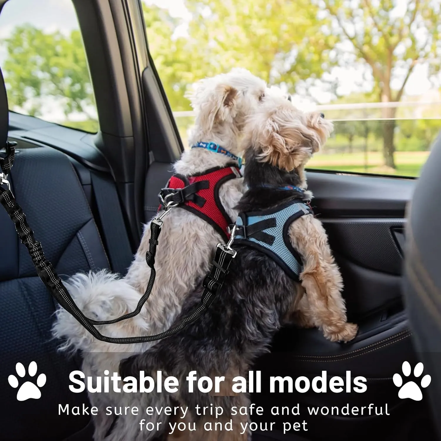 Dog Seat Belt for Two Car,Dual Dog Harness for Car,Thickened Nylon Retractable Dog Car Seat Belts, Anti-Tangle and Adjustable Double Dog Seat Belt for Car Travel,Fits Small,Medium Dogs & Cars,Black