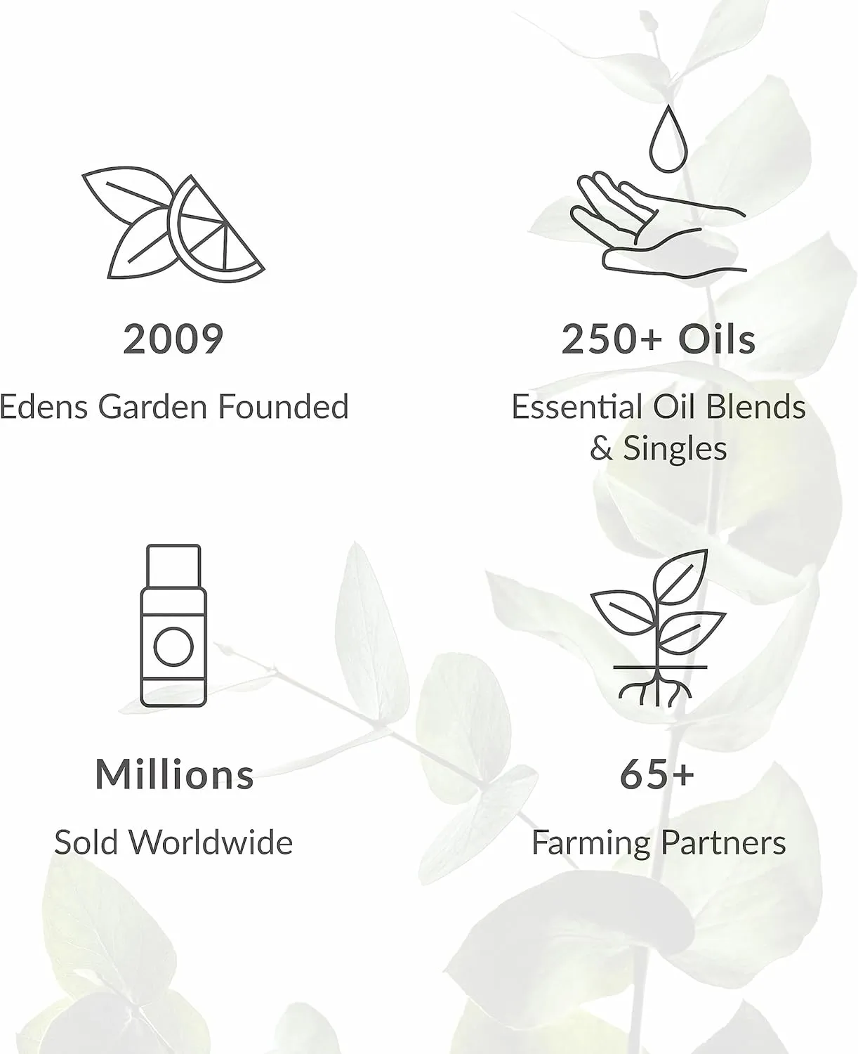Edens Garden Guardian Essential Oil Blend- 100% Pure Premium Grade, Undiluted, Natural, Therapeutic, Aromatherapy, The Best for Skin, Laundry, Humidifiers 118 ml (4 fl oz)
