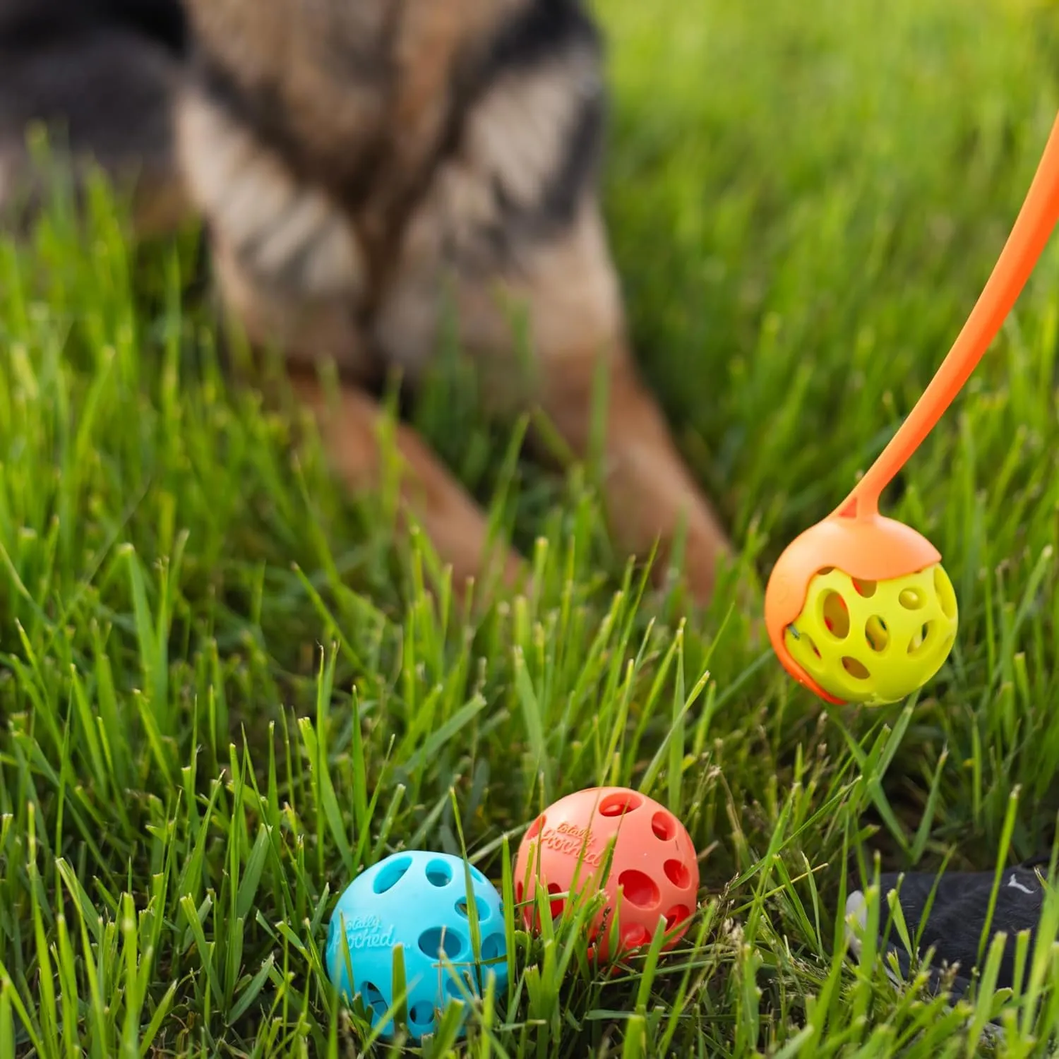 Messy Mutts Totally Pooched Huff'n Puff Toys | TPR Puzzle Toys for Dogs | 2-in-1 Durable Interactive Toy and Tooth Cleaner (Assorted, 3-Piece)