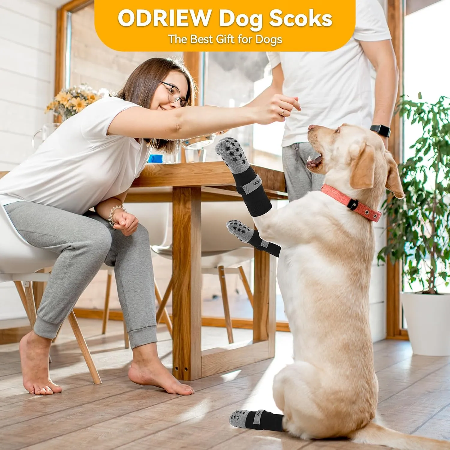 Non Slip Dog Socks to Prevent Licking Paws, Double Sided Grips, Dog Socks for Hardwood Floors Anti Slip, 6Pcs with Elastic Reflective Straps for Small, Medium, Large, Senior Dogs. (Grey, M)