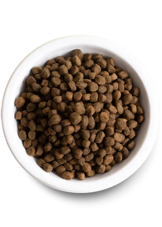 Open Farm - Grain Free Puppy - Dry Dog Food