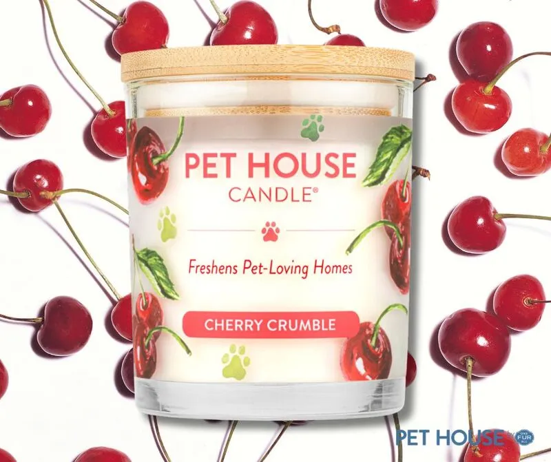 Pet House Candle *buy 10 get 1 free*