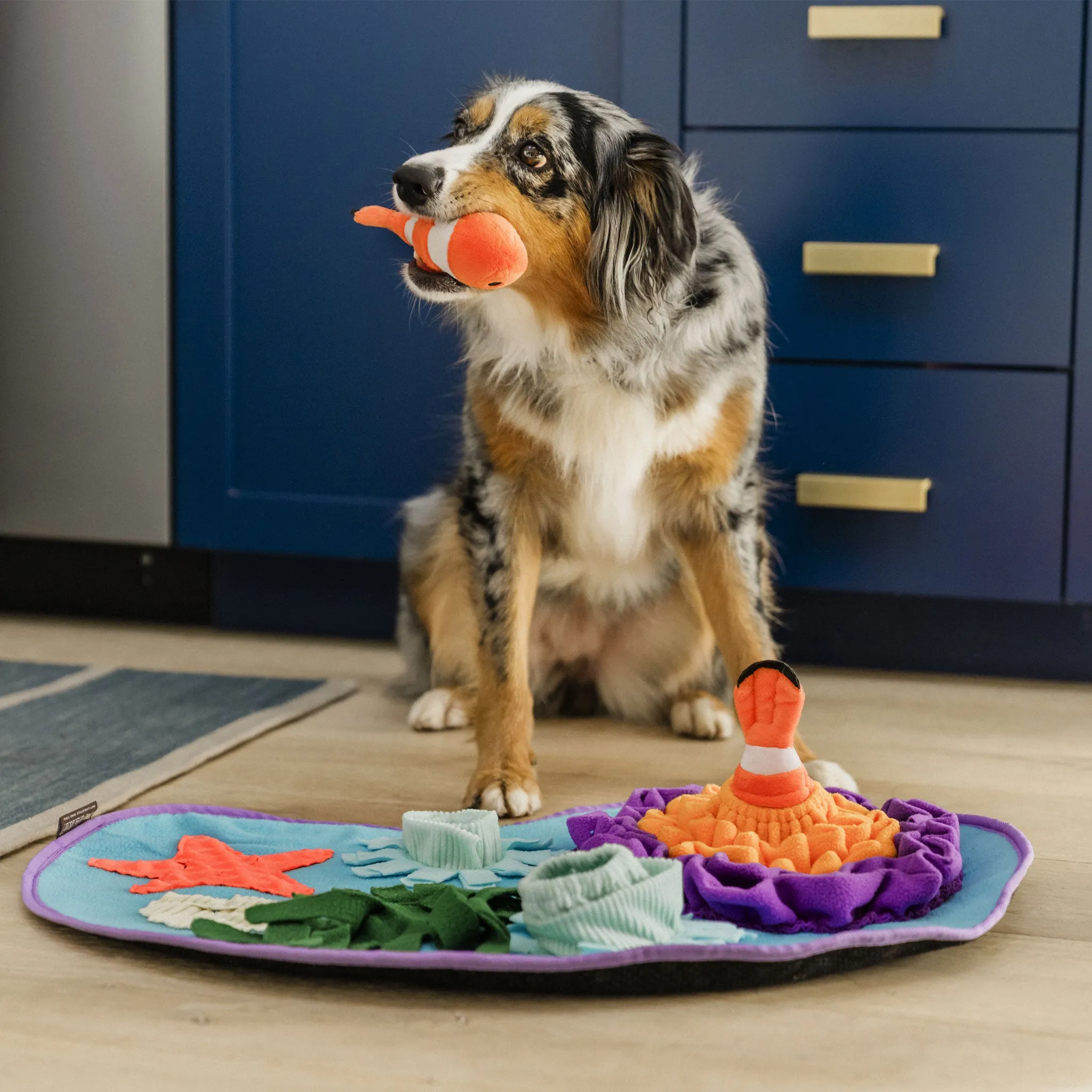 P.L.A.Y. Coral Cove Snuffle Mat