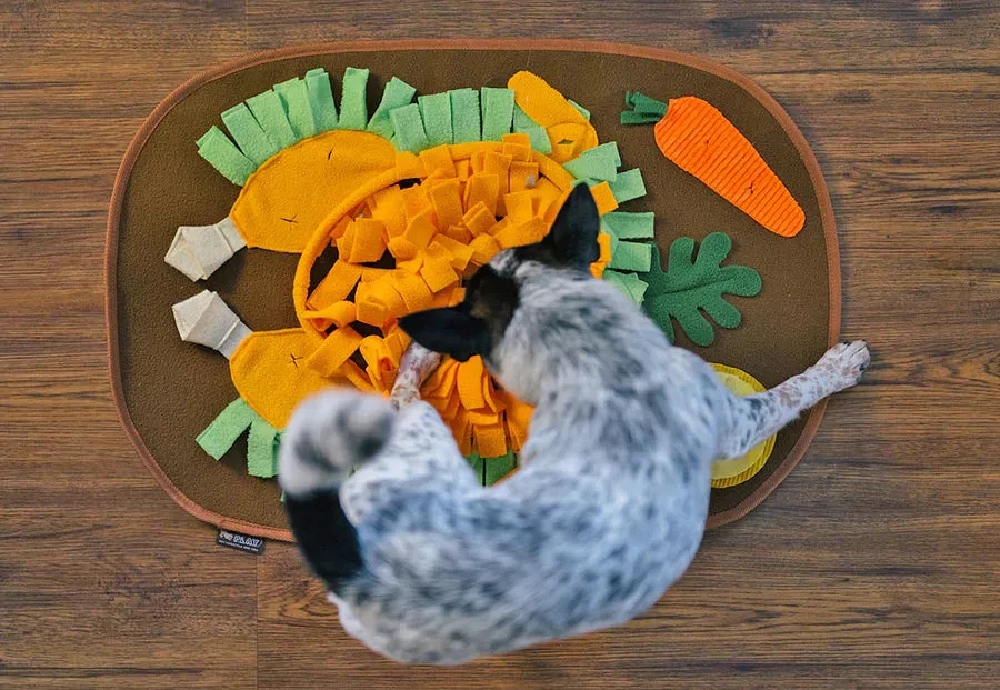 P.L.A.Y -  Thanksgiving Snuffle Mat (Dog Toy)