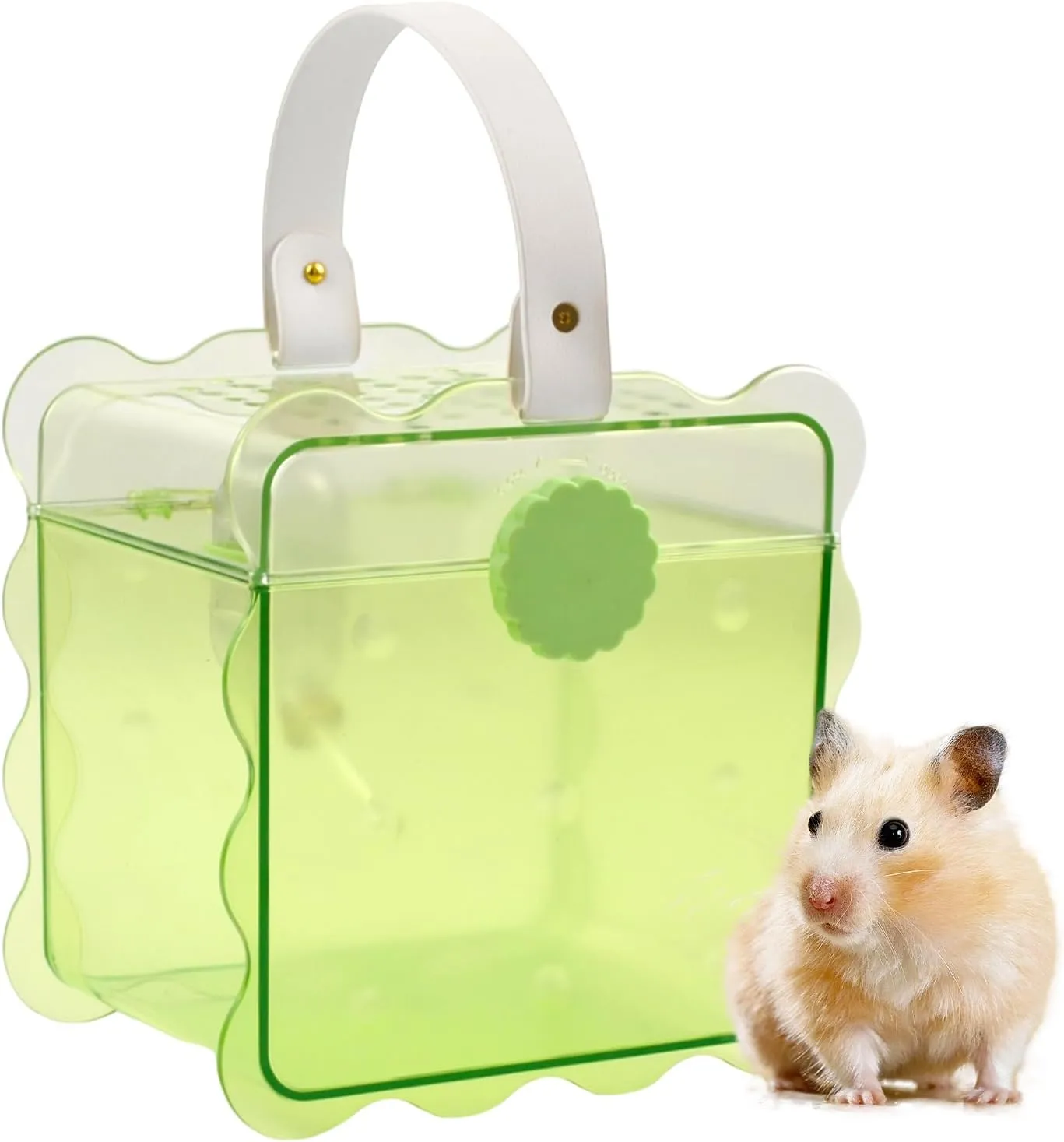 Portable Hamster Travel Cage,Dwarf Hamster Carrier Cages with Water Bottle Breathable Small Animal Outgoing Carry Case for Mice, Dwarf Hamster,Sugar Glider,Gerbils(Green)