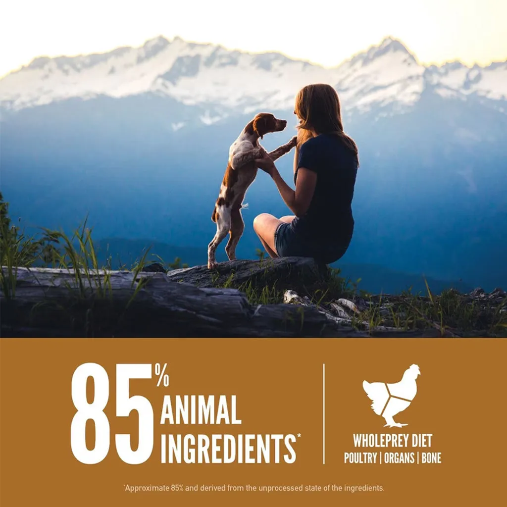 Puppy Dry Dog Food
