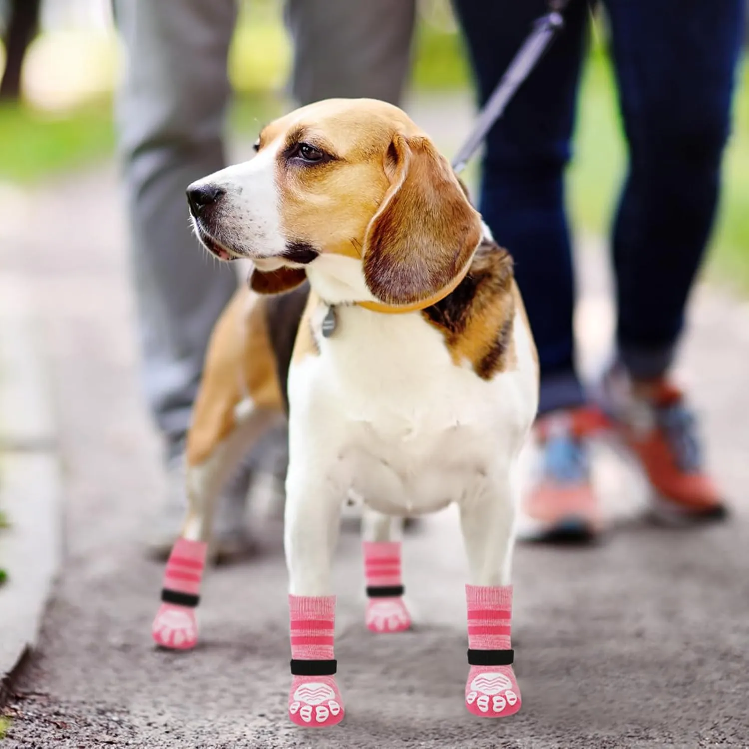 PUPTECK Anti-Slip Dog Socks with Double Sides Grips Booties for Medium Large Dogs Hardwood Floors Prevents Licking, Dog Shoes for Cold & Hot Pavement Traction, Fuschia, L