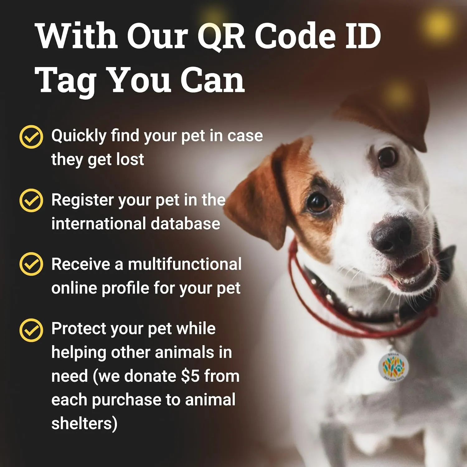 QR Code Dog Tag Silent Id Pet Tags Personalized Name Plate with Online Profile (Bingo Bone, Large_Round)