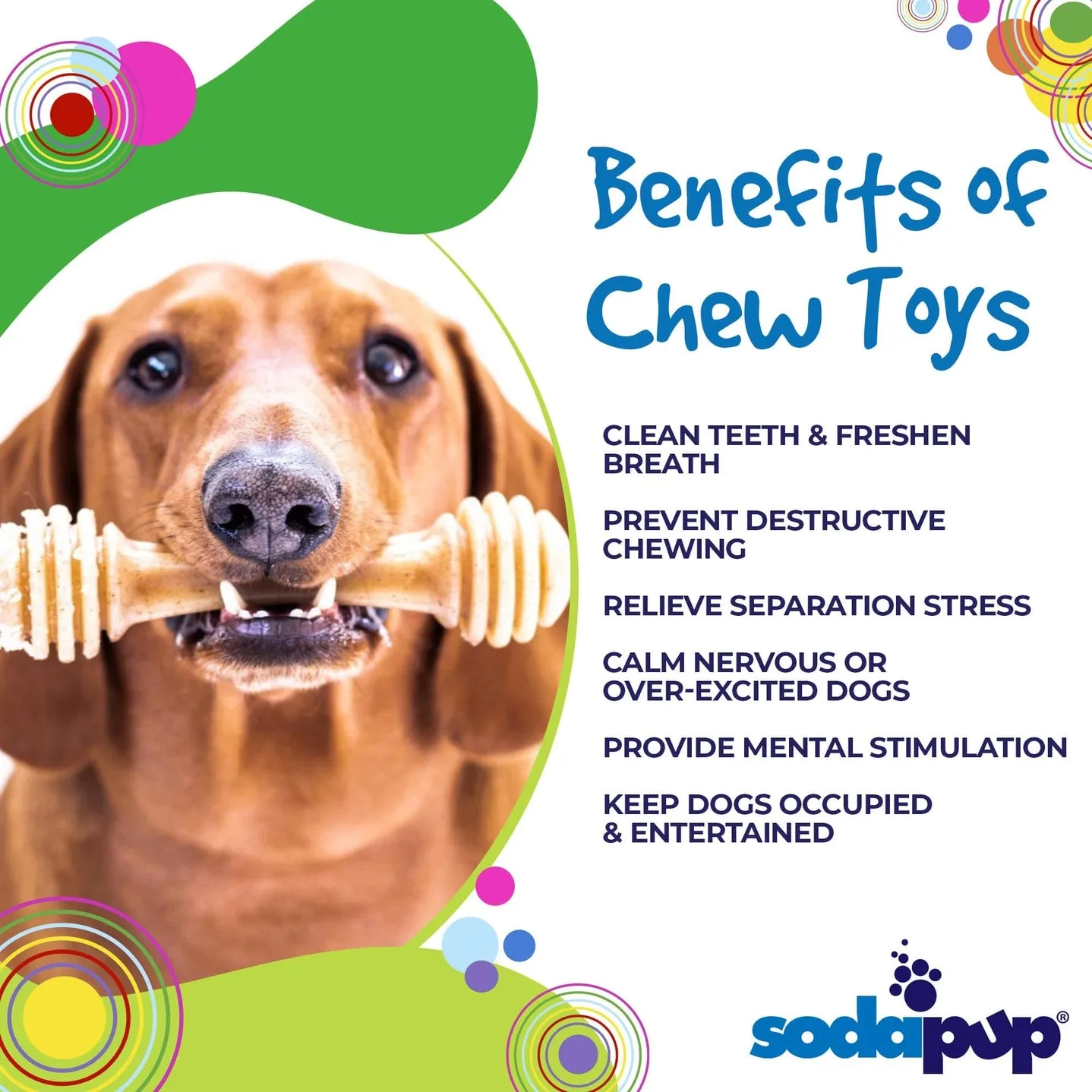 Sodapup Honey Bone Ultra Durable Nylon Dog Chew Toy for Aggressive Chewers